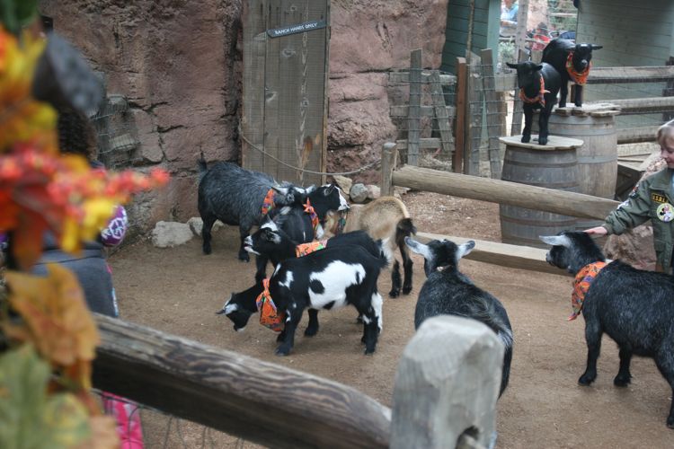 Big Thunder October 2010