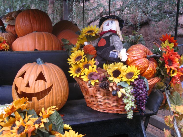 Big Thunder October 2010