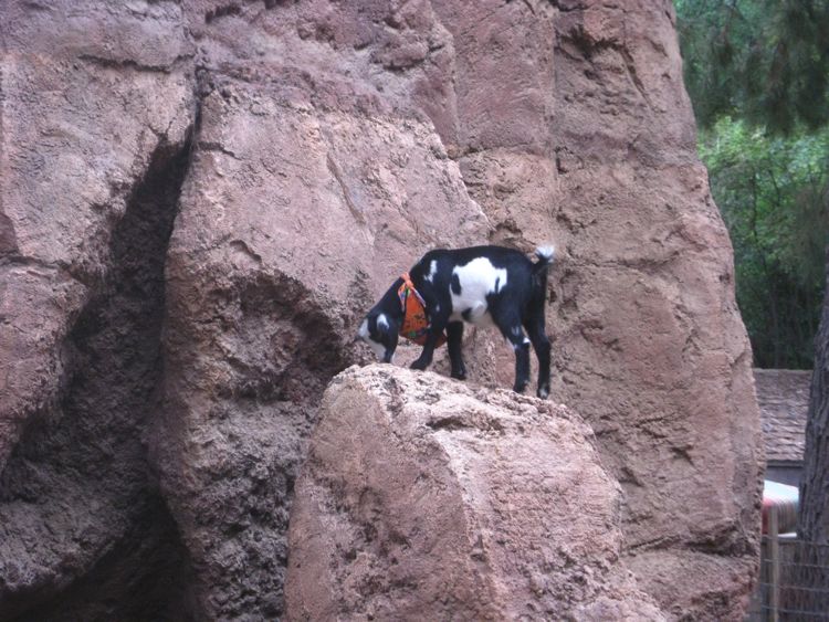 Big Thunder October 2010