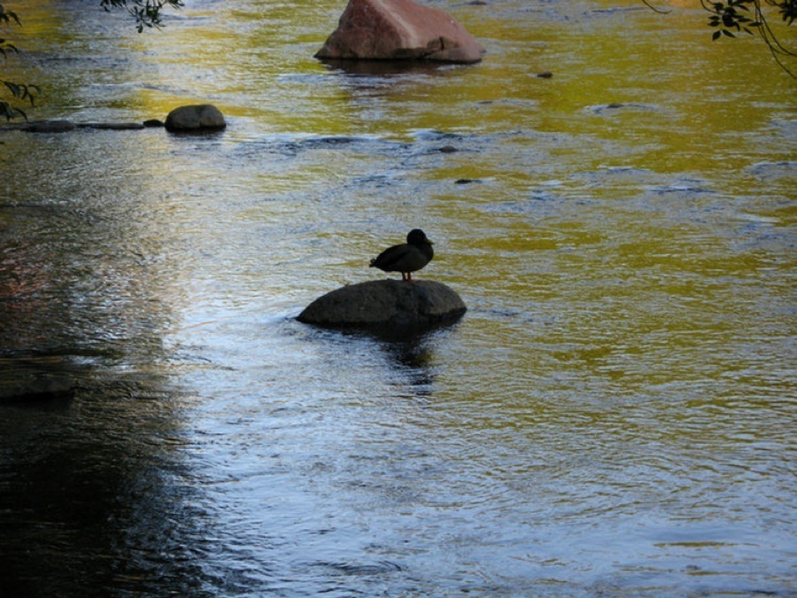 Sedona hotel