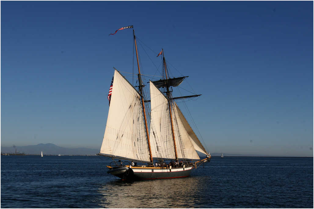 Tall Ship Adventure 2007