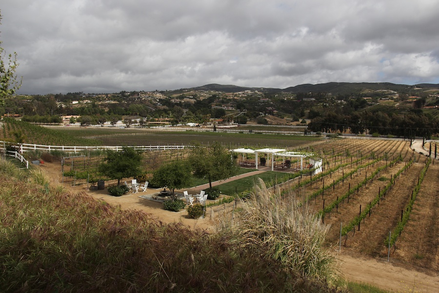 A day in the vineyards at Temecula April 2013