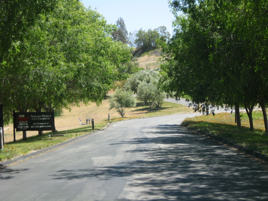 Temecula run May 12th 2014