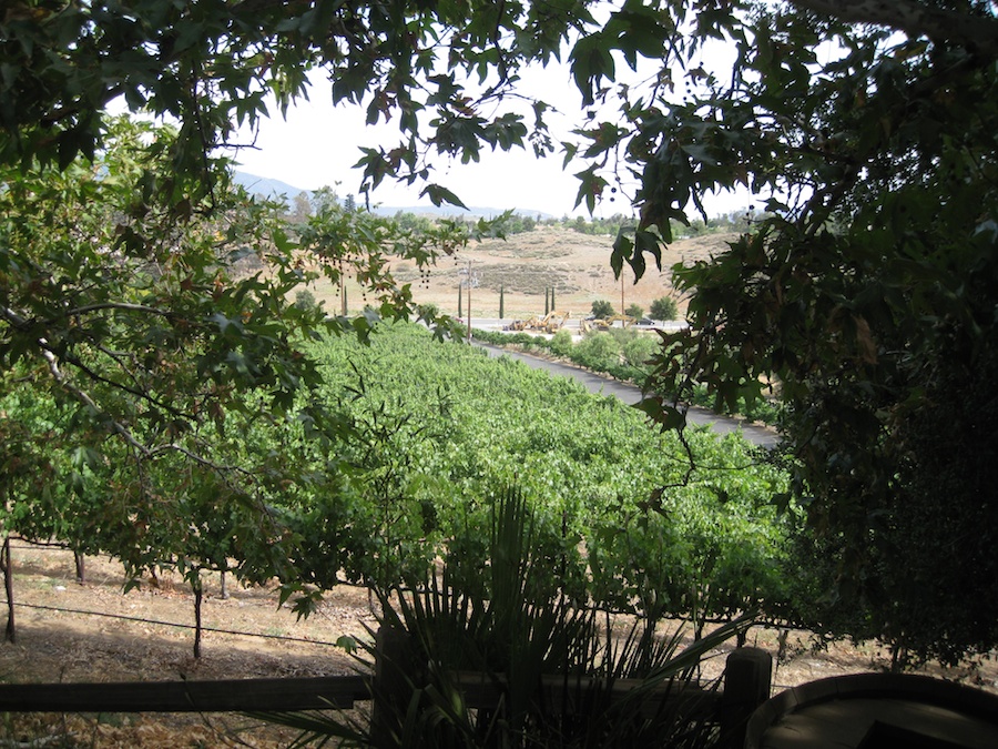 Jun 2014 Temecula wine adventure