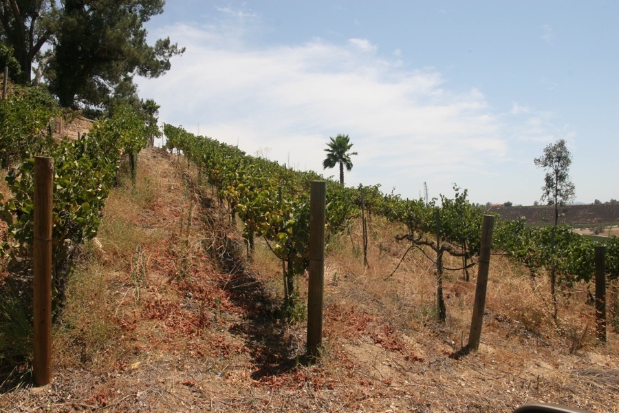 Temecula 7/31/2014 with Laura and AJ