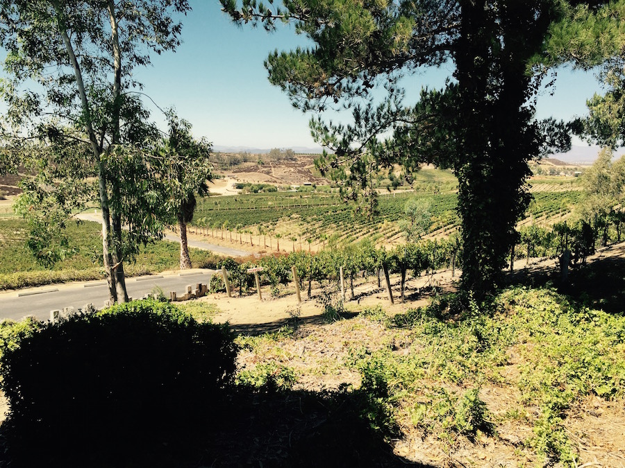 Temecula adventure 8/31/2015