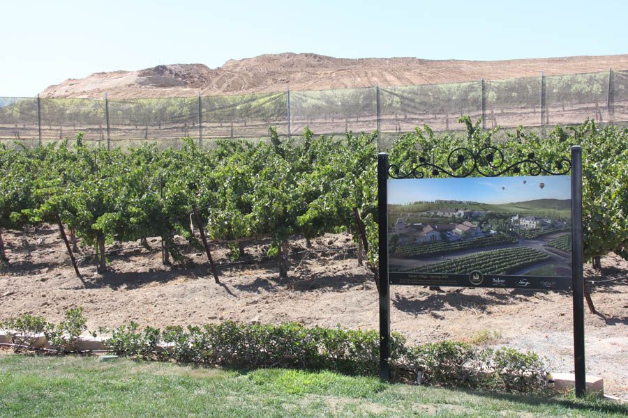 Wine tasting in Temecula with the girls 7/18/2016