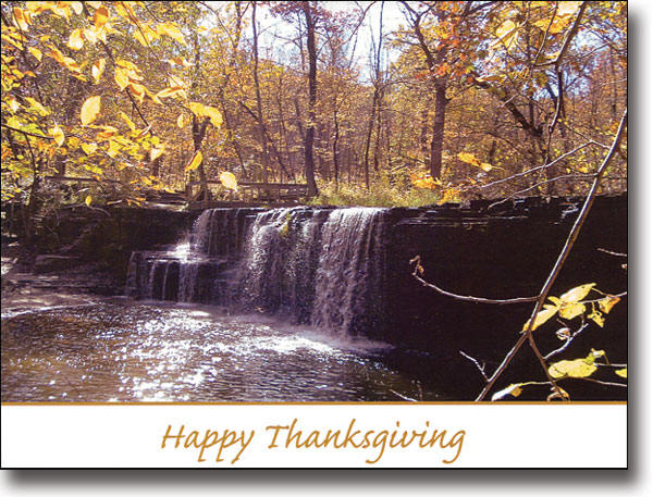 Thanksgiving Greeting Cards