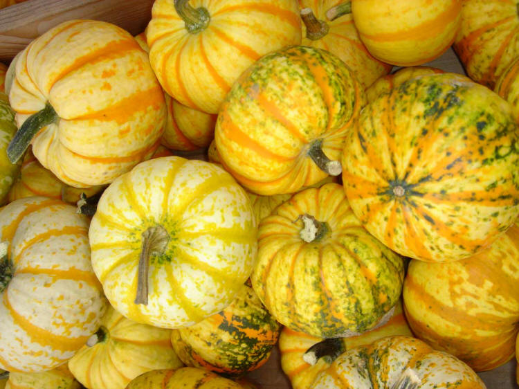 Pumpkins