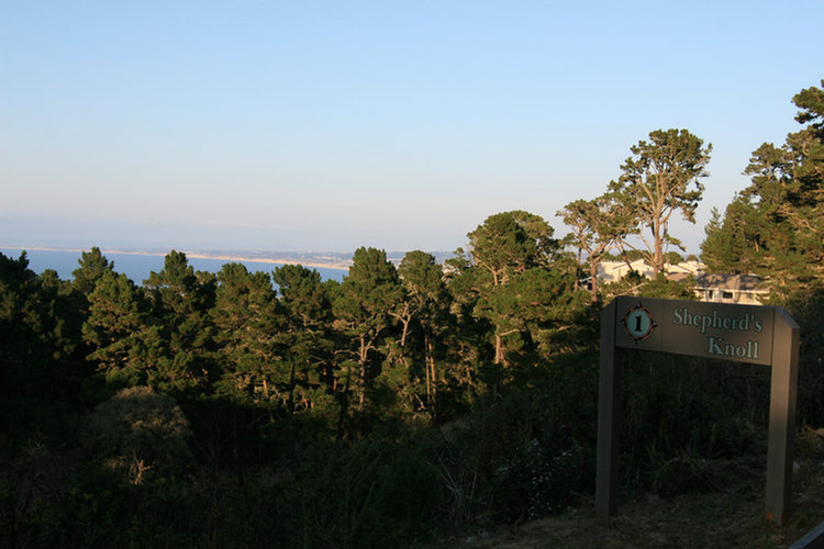 17 Mile Drive 2008