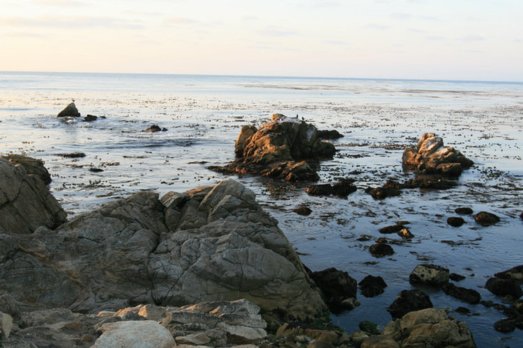 17 Mile Drive 2008