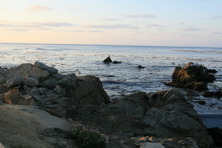 17 Mile Drive 2008