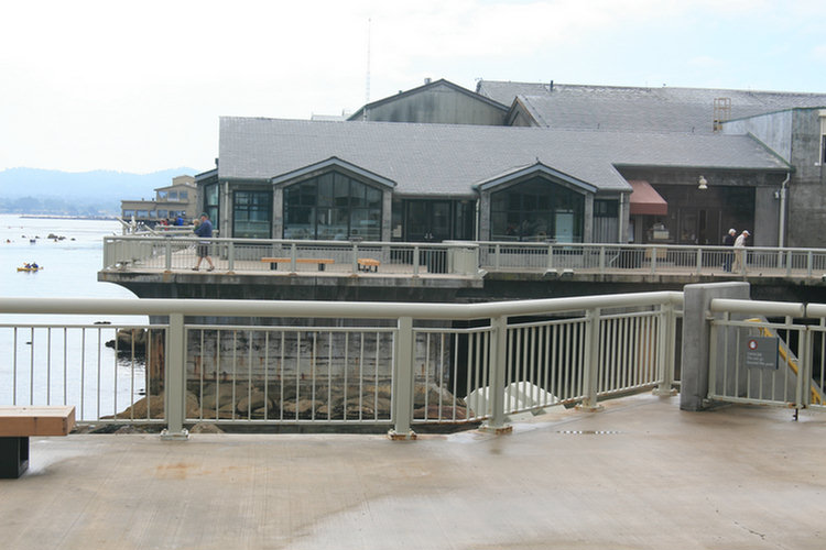 Monterey Aquarium - 2008