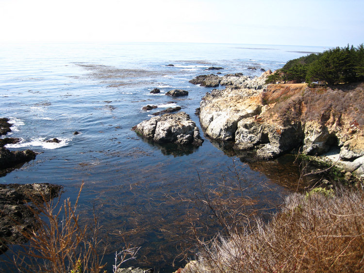 Big Sur omatofest 2008