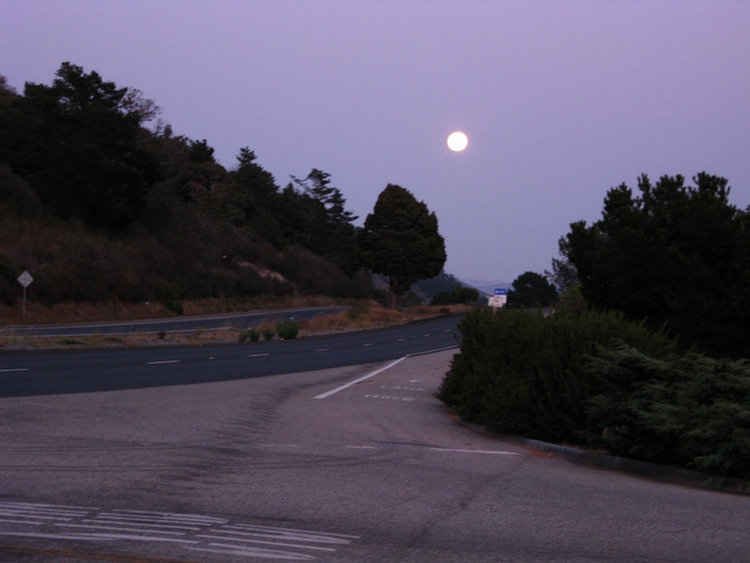 Big Sur omatofest 2008