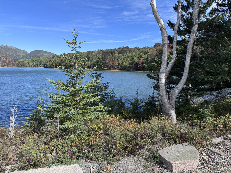 2026-09-25 touring Bar Harbor Maine With Robin and Mary