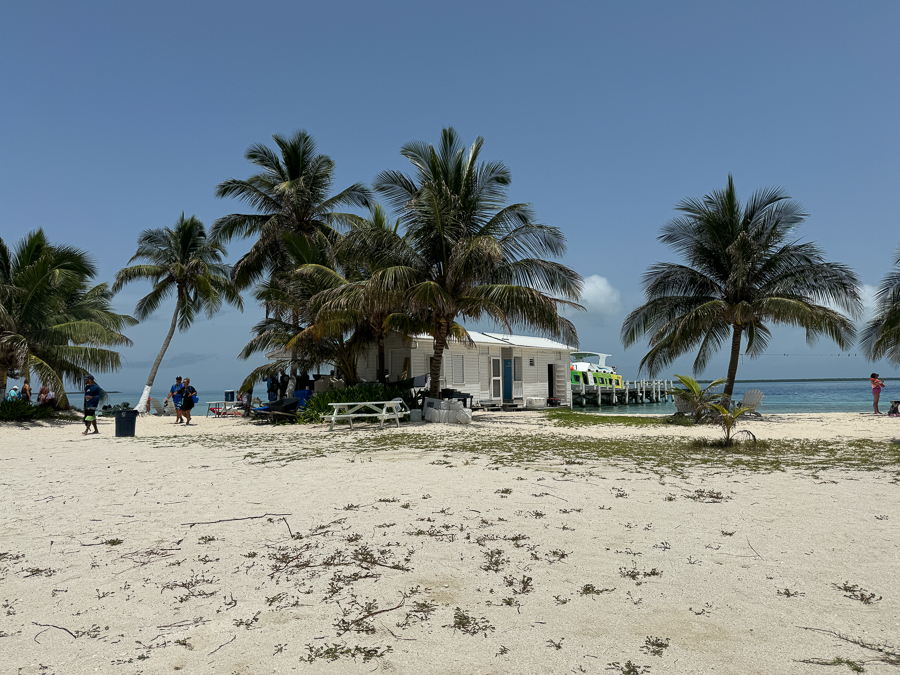 Caribbean Day 05 Belize Snorkeling Coral Reefs