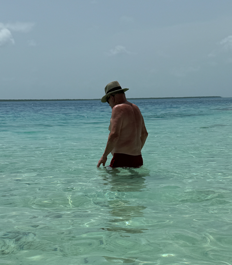 Caribbean Day 05 Belize Snorkeling Coral Reefs