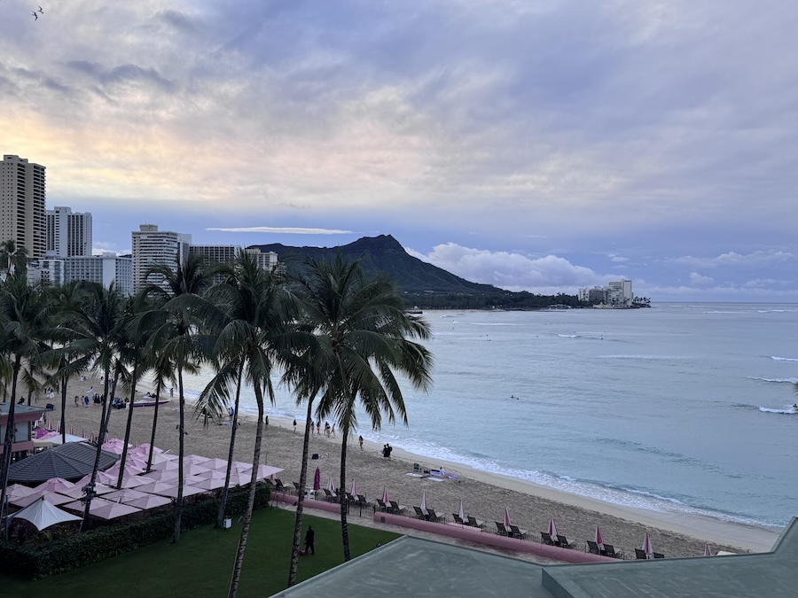 2026/03/23 Day Three In Paradise