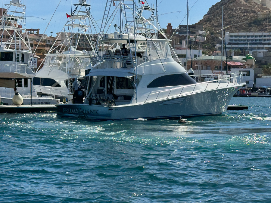 2024-04-07 Day 3 is Cabo San Lucas Mexico