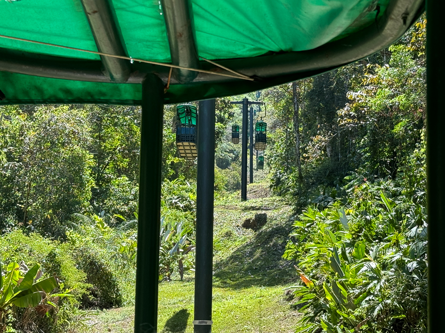 2024-04-13 Zip Lining In Costa Rica