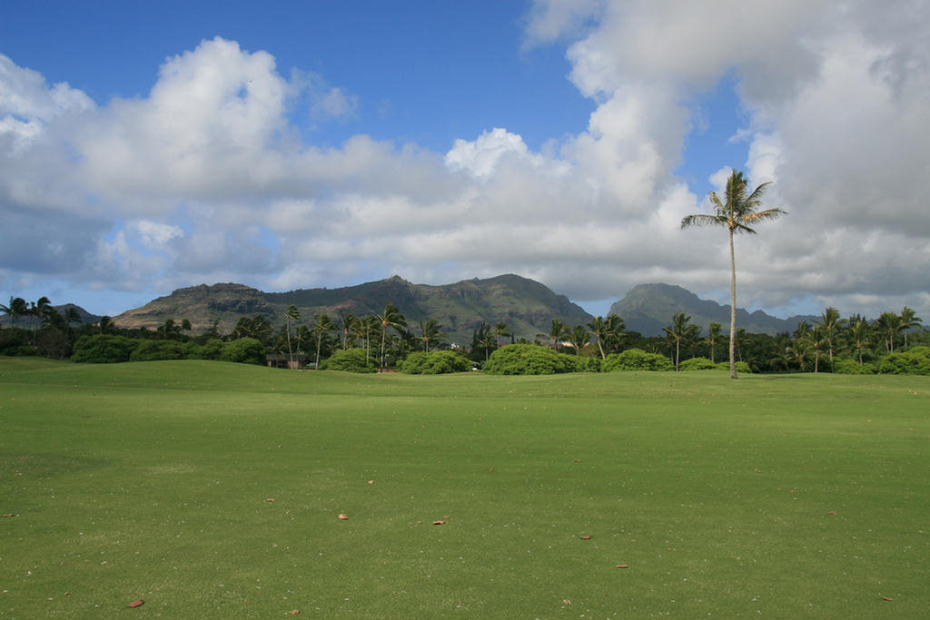 Kauai Hawaii Golf At The Plantation