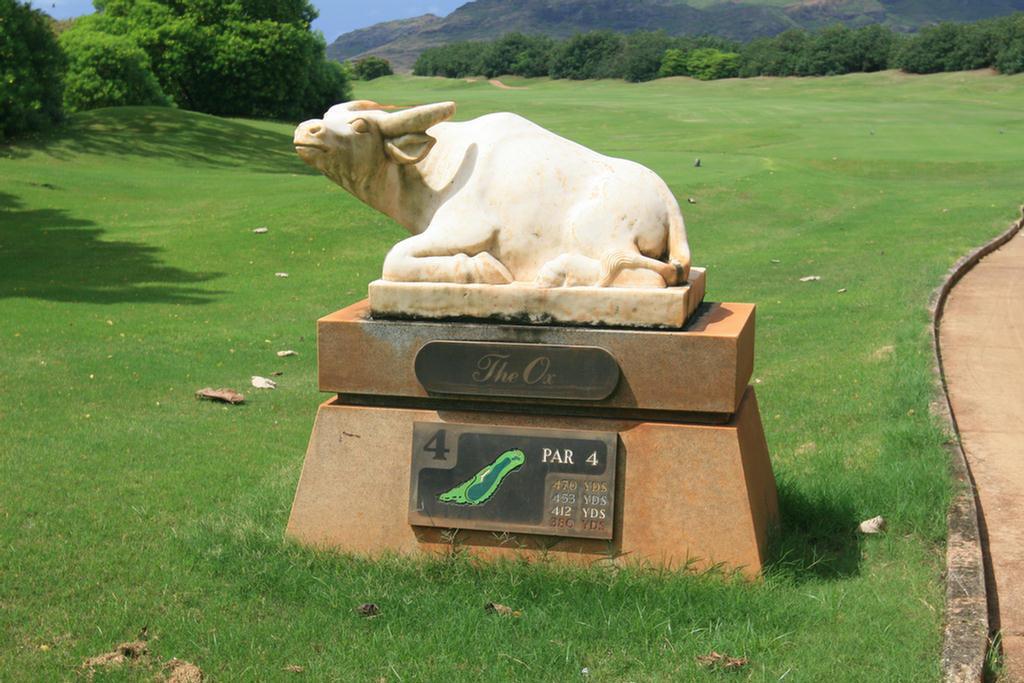 Kauai Hawaii Golf At The Plantation