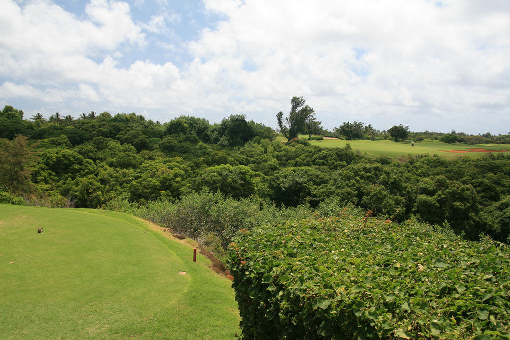 Kauai Hawaii Golf At The Plantation