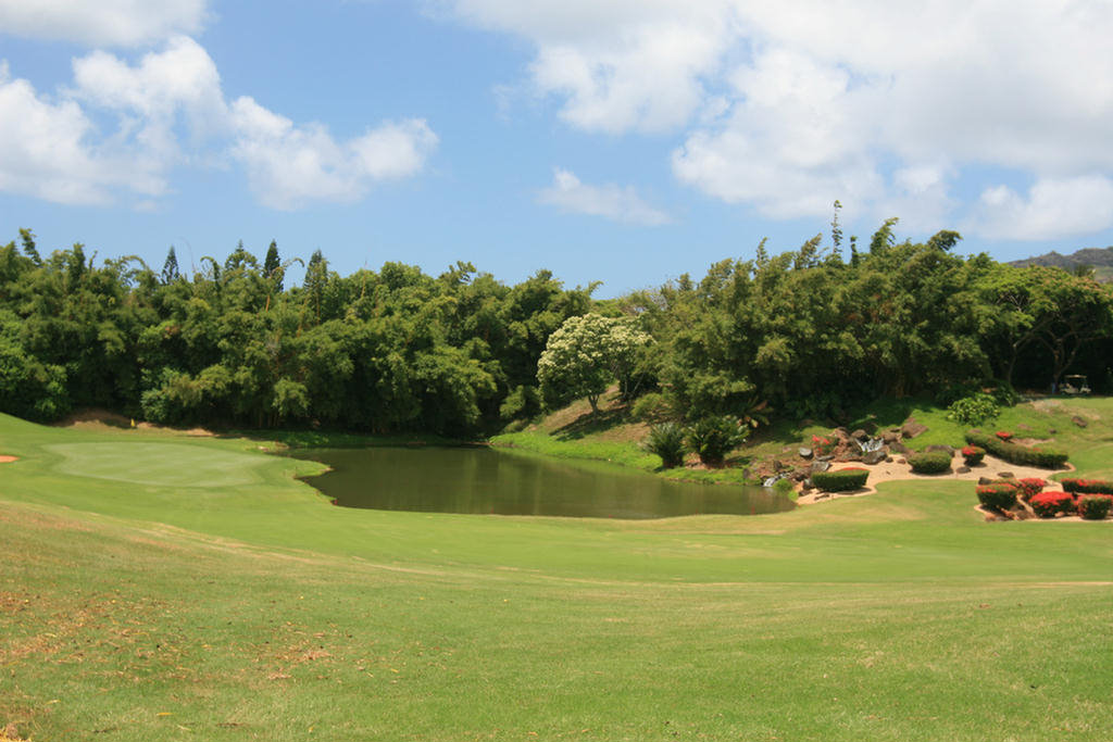 Kauai Hawaii Golf At The Plantation