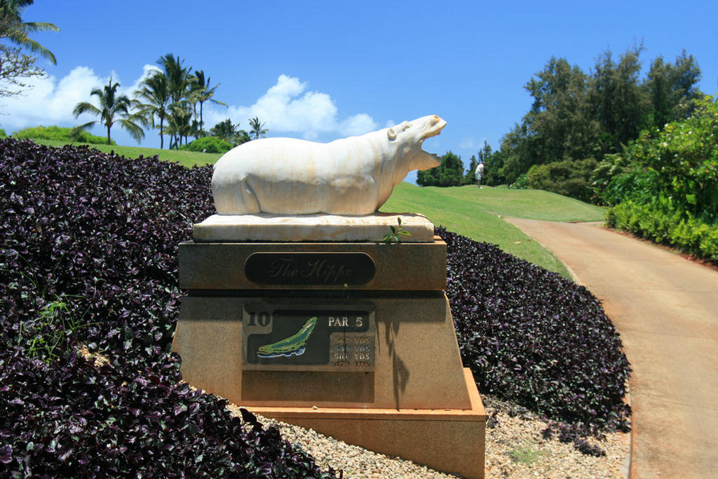 Kauai Hawaii Golf At The Plantation