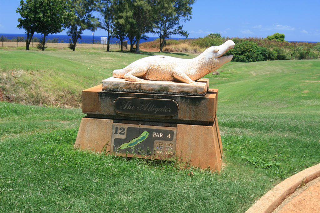 Kauai Hawaii Golf At The Plantation