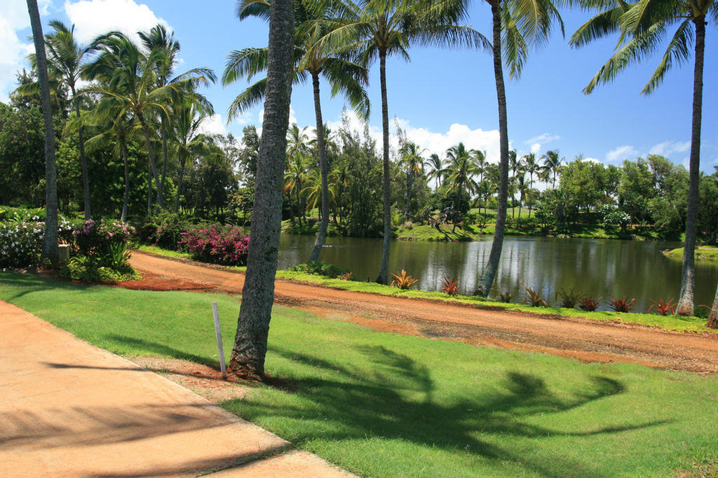 Kauai Hawaii Golf At The Plantation