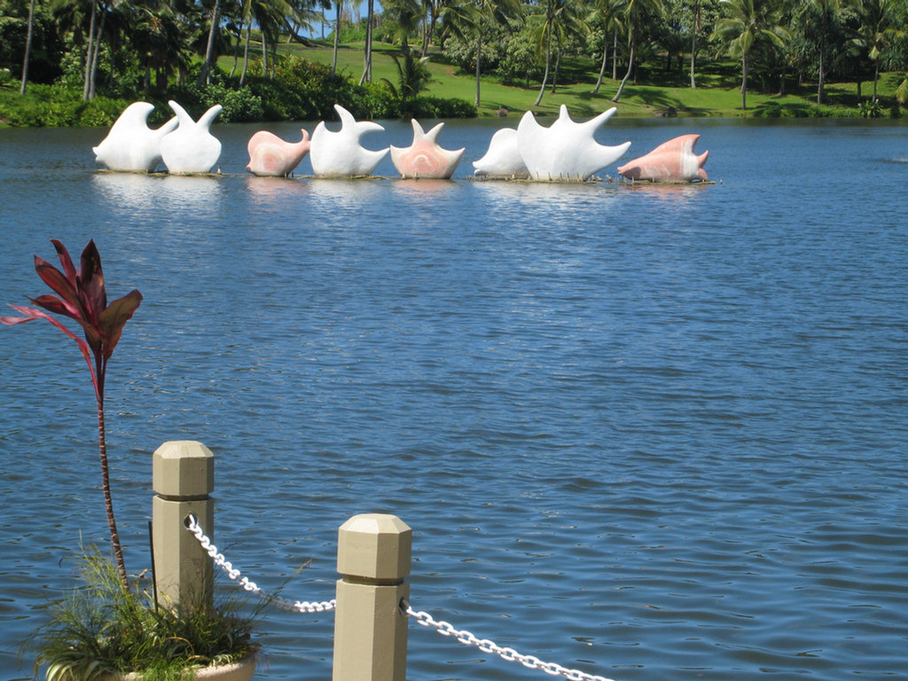 Kauai Hawaii Golf At The Plantation