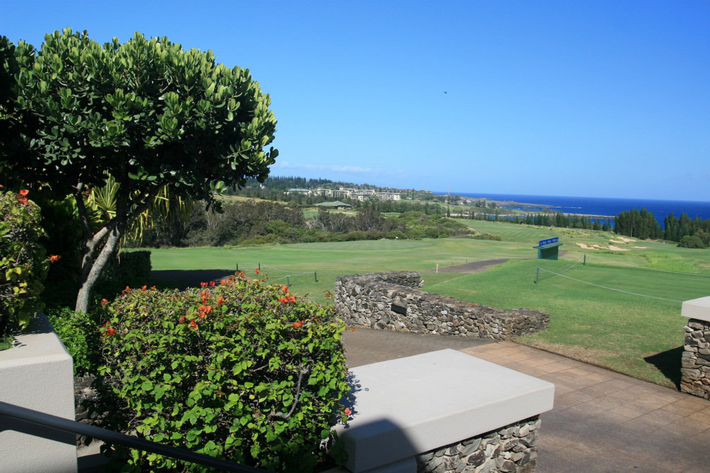 Lahaina Golf Adventure