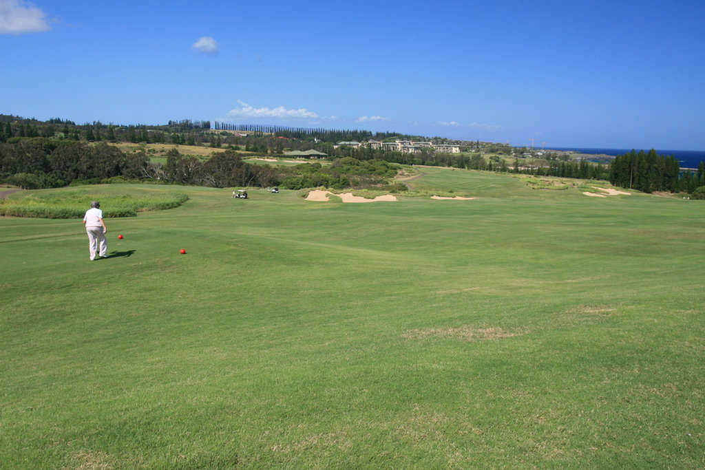 Lahaina Golf Adventure