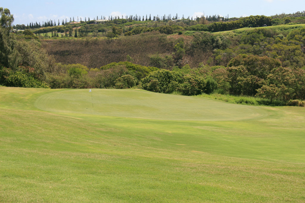 Lahaina Golf Adventure