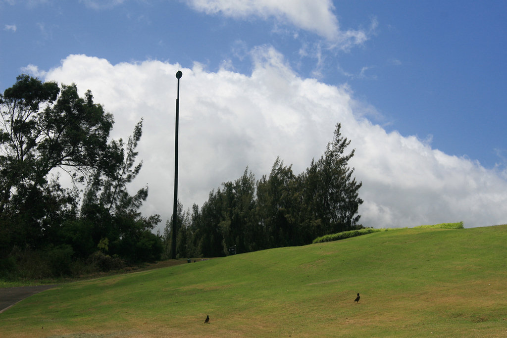 Lahaina Golf Adventure