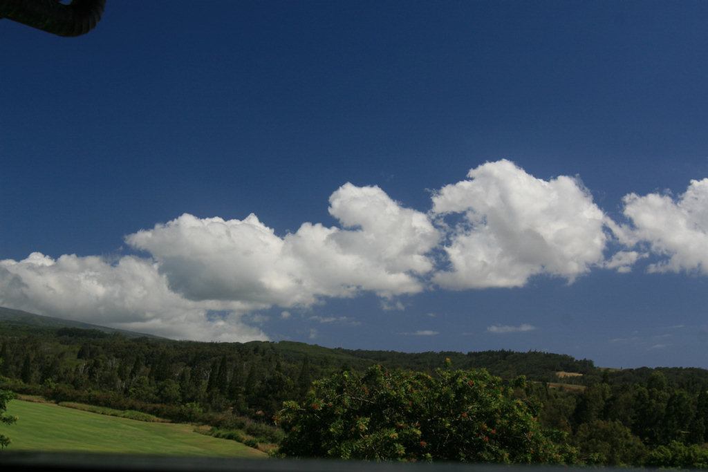 Lahaina Golf Adventure