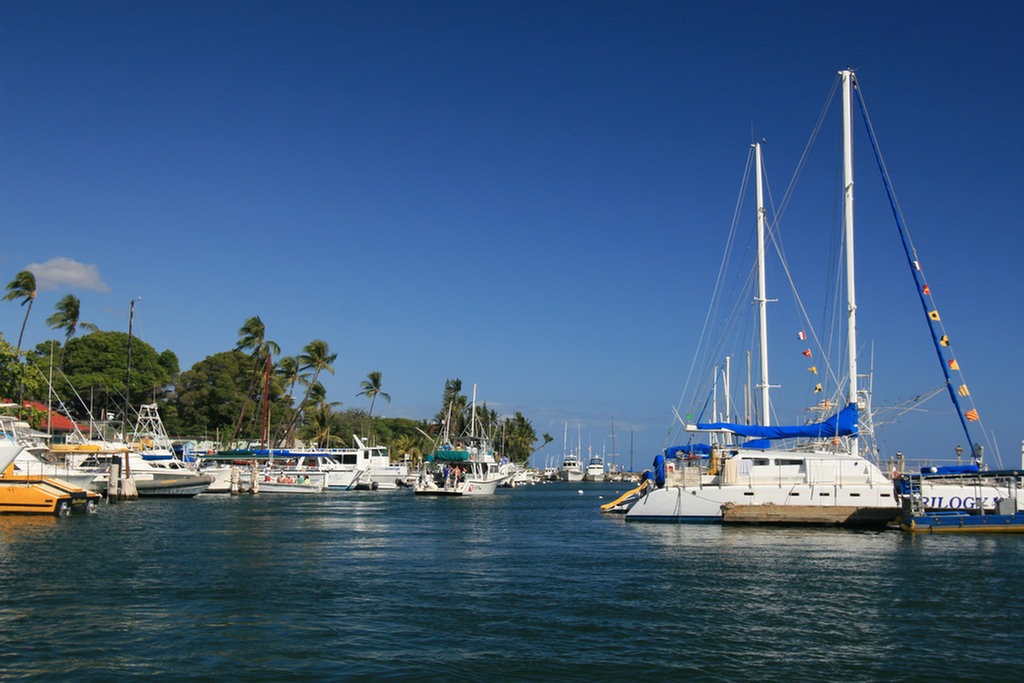 Lahaina Tender Adventure