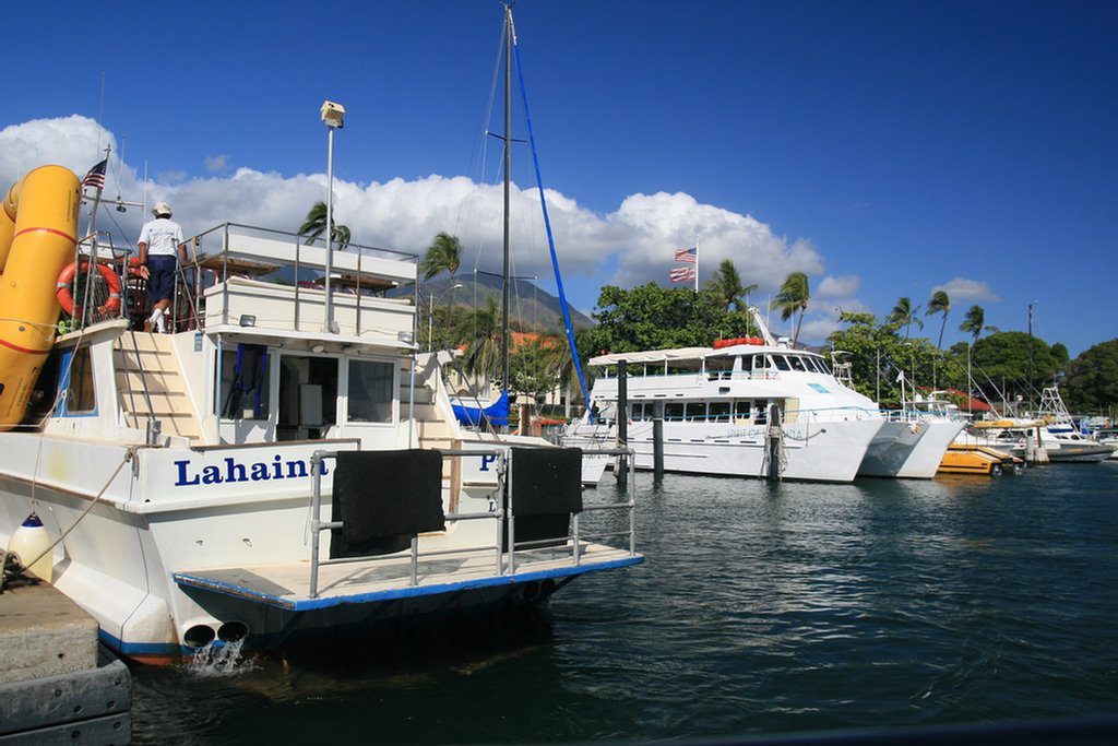 Lahaina Tender Adventure