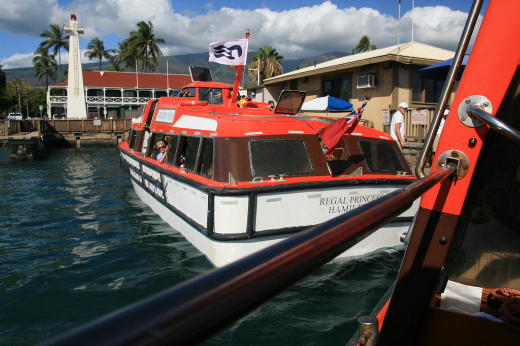 Lahaina Tender Adventure