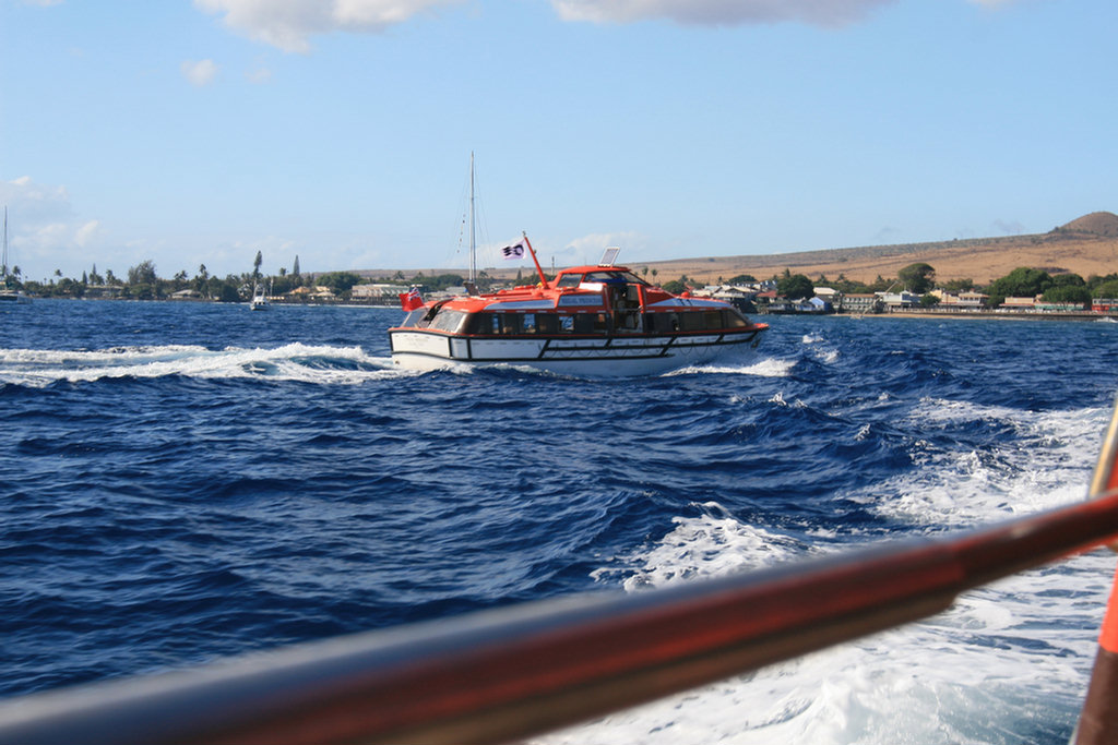 Lahaina Tender Adventure