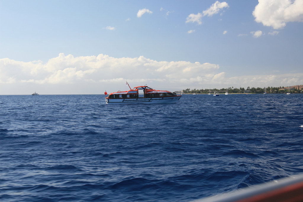 Lahaina Tender Adventure