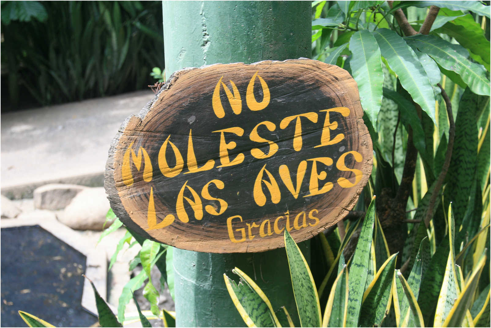 Guatemala's Walk Through Zoo