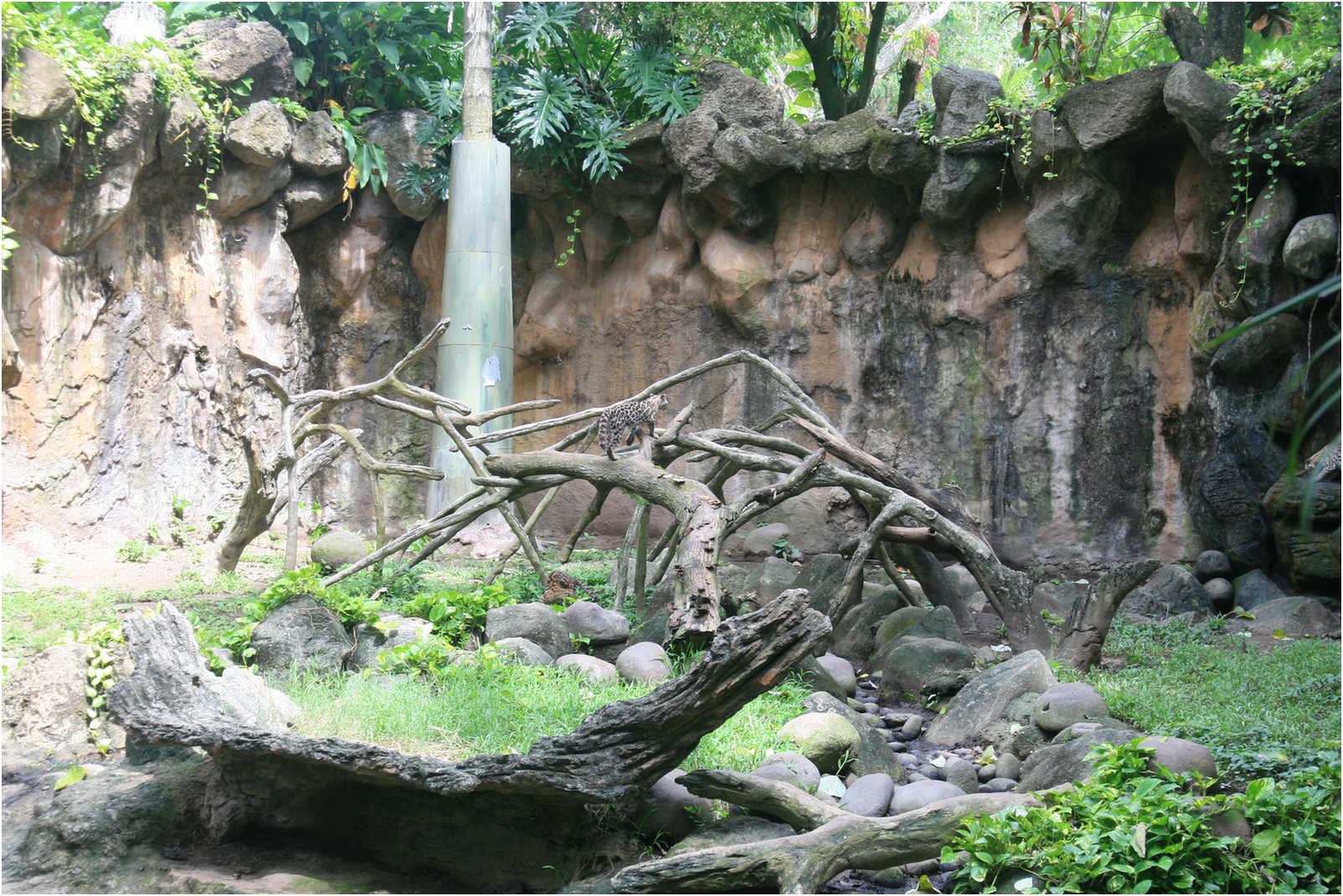 Guatemala's Walk Through Zoo