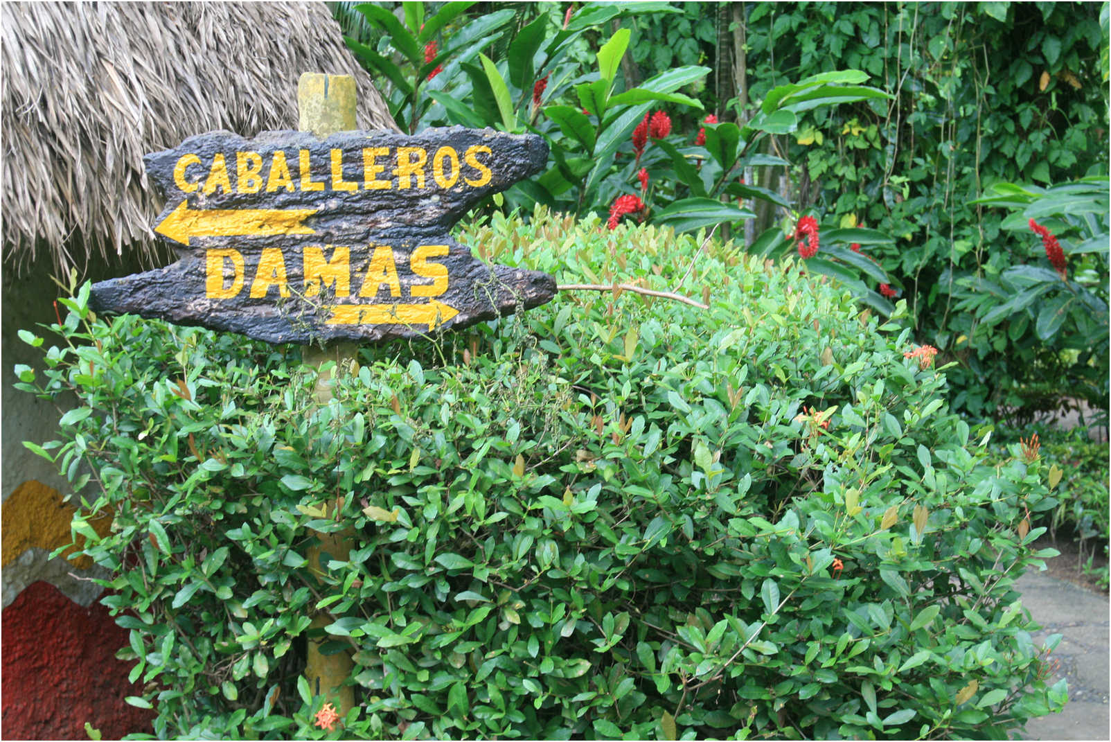 Guatemala's Walk Through Zoo