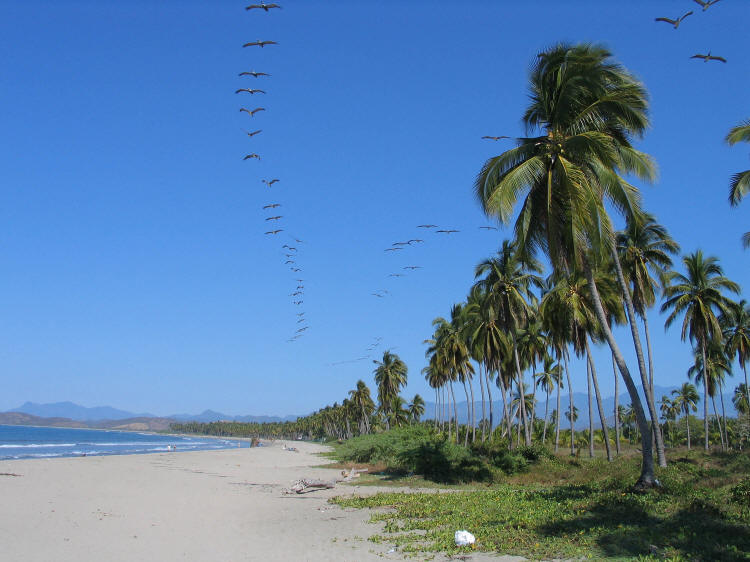 Zihuatanejo Mexico Snorkeling Adventure