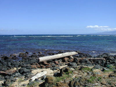 Shipwreck beach