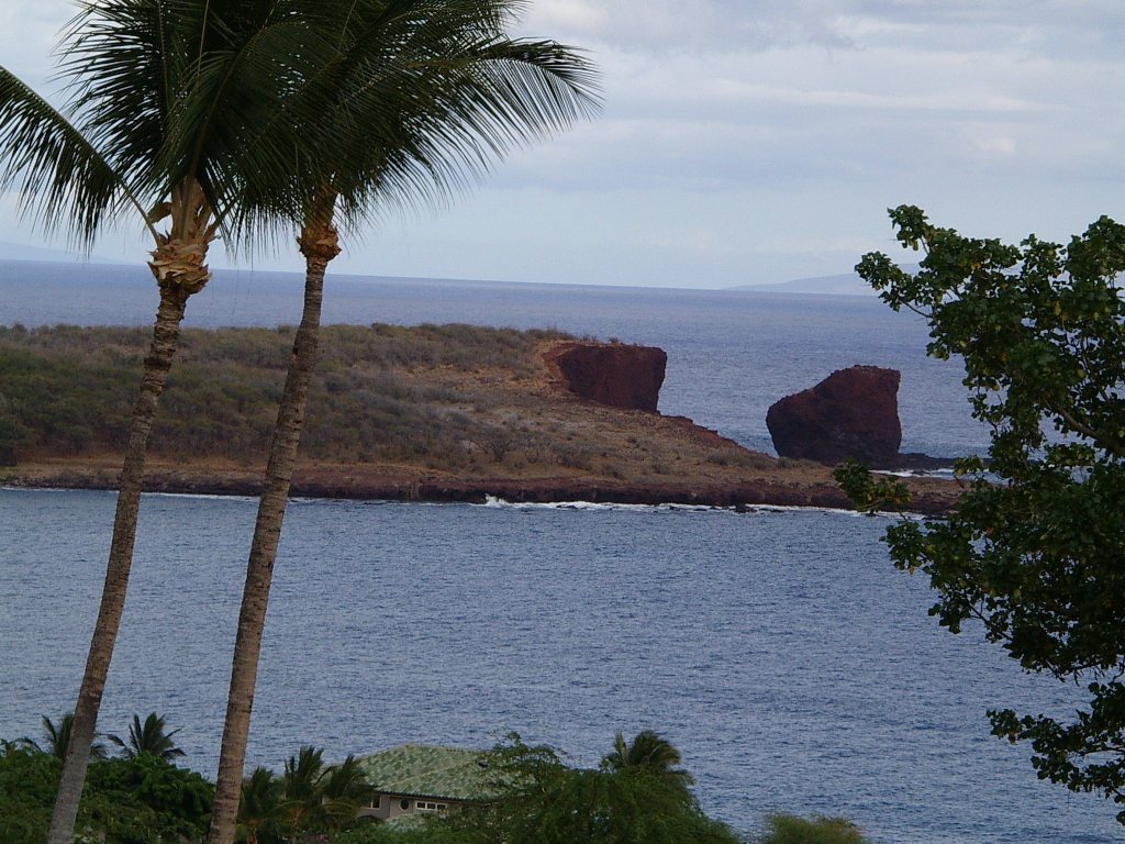 View form Lanai