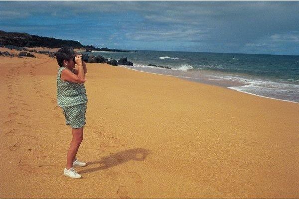 Lanai 1999 Adventure